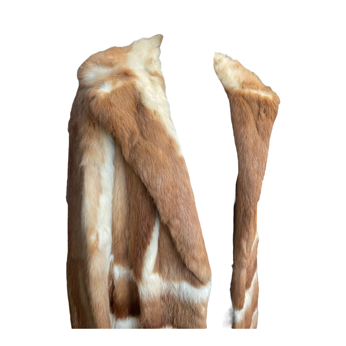 A Second Chance - Berkeley Coat Real Women - Delivery All Over Lebanon