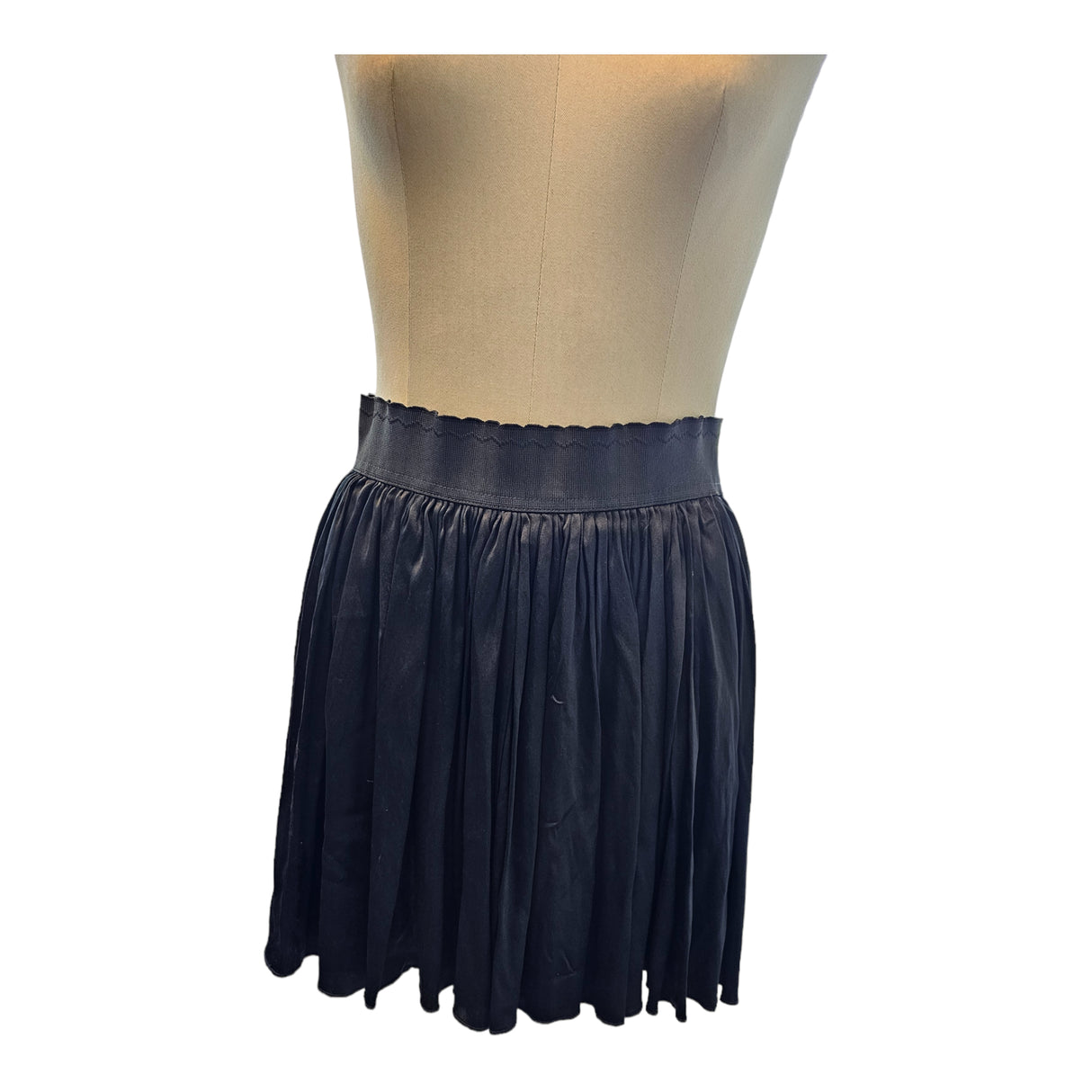 Short Pleated Skirt