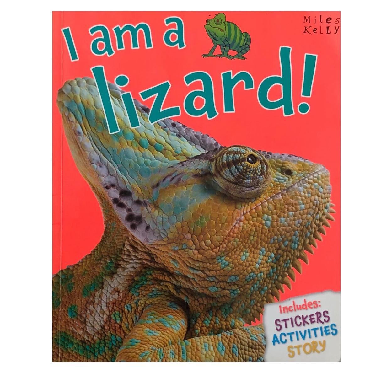A Second chance - i am a lizard - Lebanon