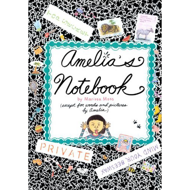 A Second Chance - Amelia's Notebook Book - We Deliver All Over Lebanon